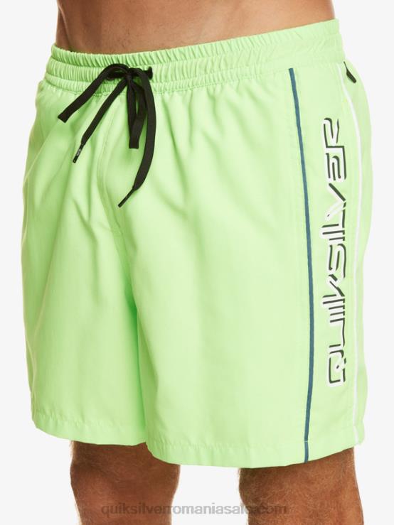 gecko verde zilnic vert 16 volei XT6B696 bărbați Quiksilver