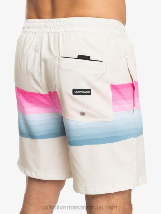 mesteacăn nuanță rășină buc 17 salve XT6B1267 bărbați Quiksilver