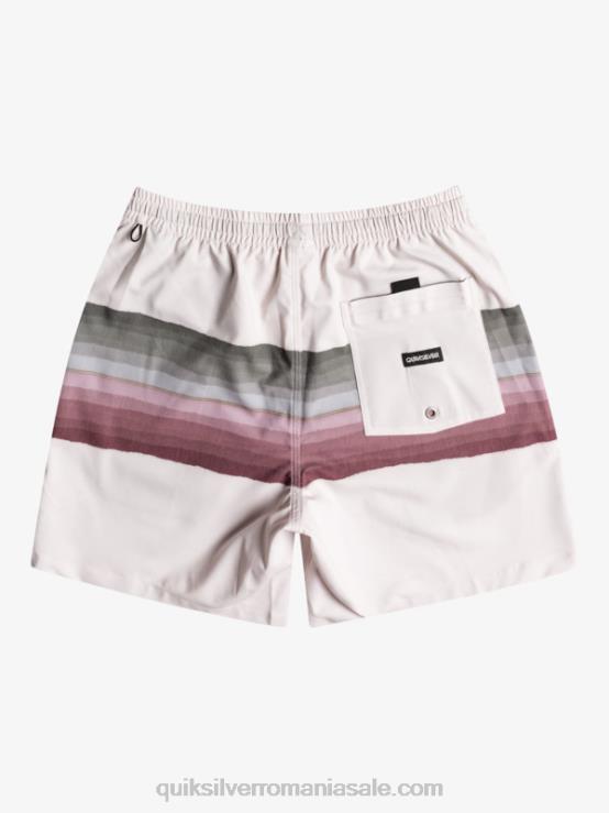 mesteacăn nuanță rășină buc 17 salve XT6B1270 bărbați Quiksilver