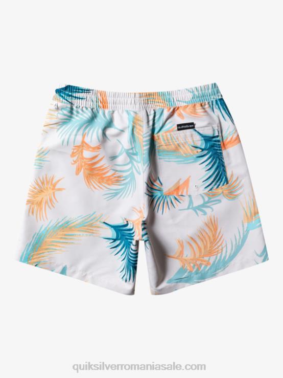 mesteacăn re-amestecă 17 salve XT6B355 bărbați Quiksilver