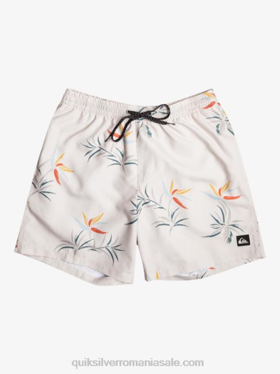 mesteacăn se amestecă zilnic 17 salve XT6B676 bărbați Quiksilver