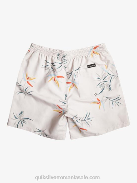 mesteacăn se amestecă zilnic 17 salve XT6B676 bărbați Quiksilver