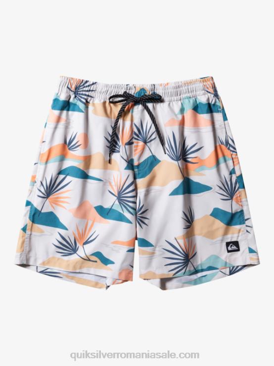 mesteacăn se amestecă zilnic 17 salve XT6B678 bărbați Quiksilver