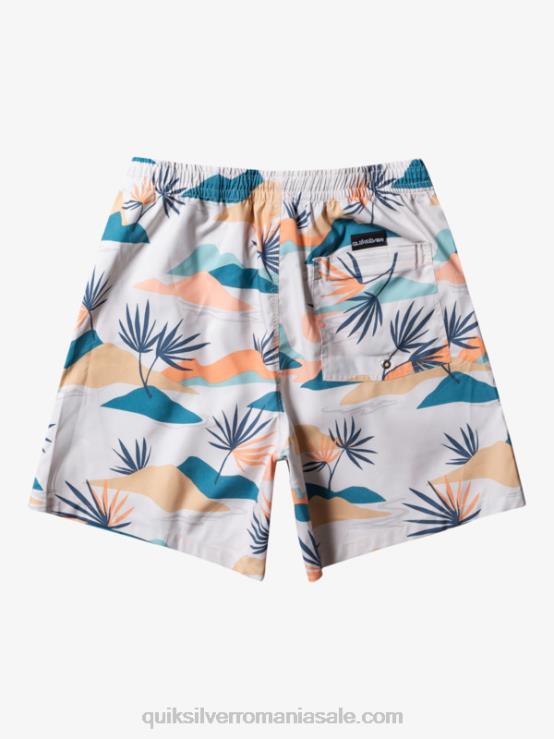 mesteacăn se amestecă zilnic 17 salve XT6B678 bărbați Quiksilver