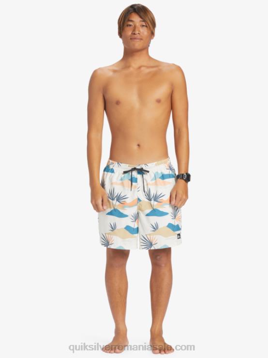 mesteacăn se amestecă zilnic 17 salve XT6B678 bărbați Quiksilver