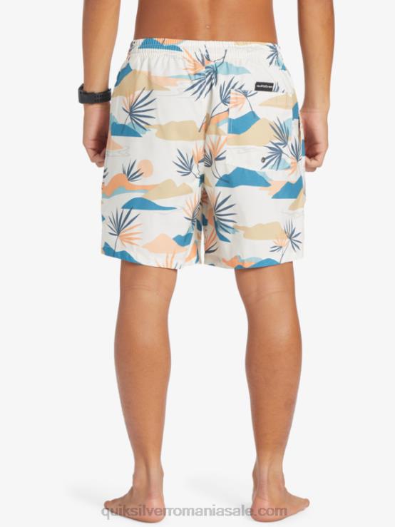 mesteacăn se amestecă zilnic 17 salve XT6B678 bărbați Quiksilver