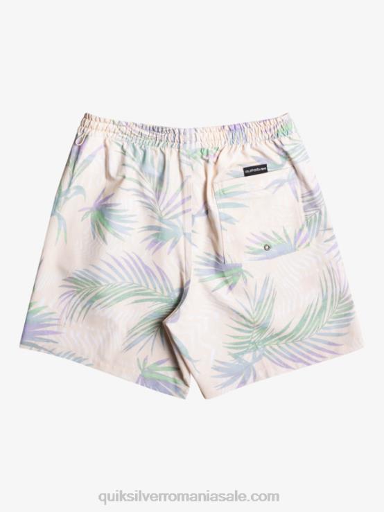 mesteacăn surfsilk mix 17 salve XT6B635 bărbați Quiksilver