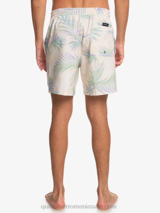 mesteacăn surfsilk mix 17 salve XT6B635 bărbați Quiksilver