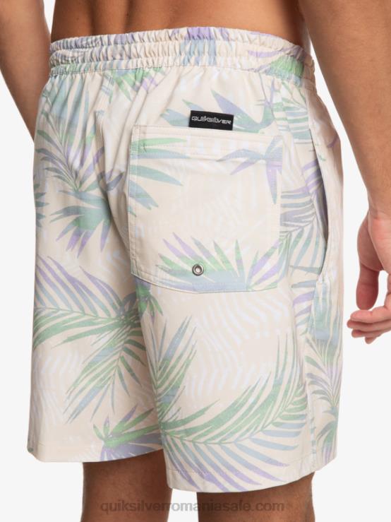 mesteacăn surfsilk mix 17 salve XT6B635 bărbați Quiksilver