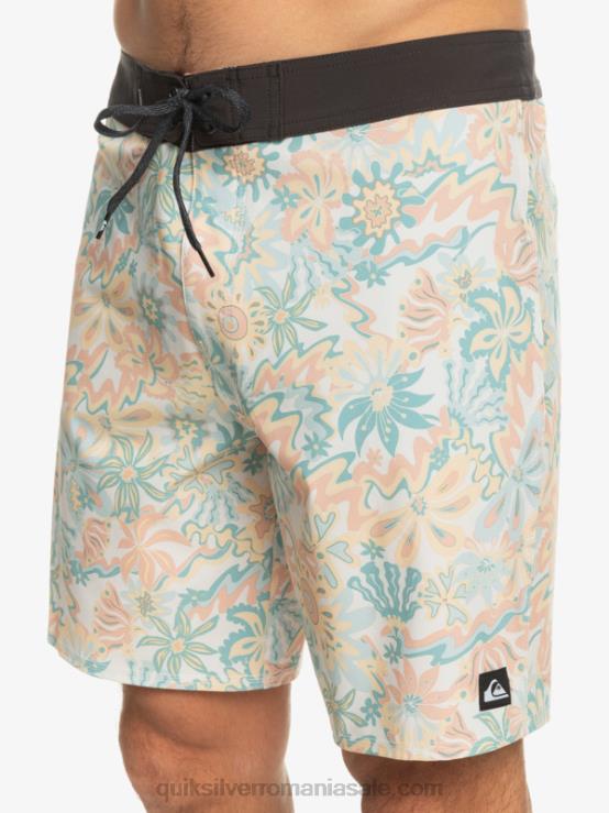 mesteacăn surfsilk qs 69 18 boardshorts XT6B242 bărbați Quiksilver