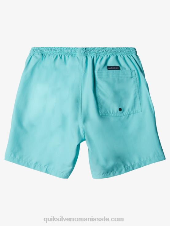 înger albastru erica în fiecare zi 17 salve XT6B630 bărbați Quiksilver