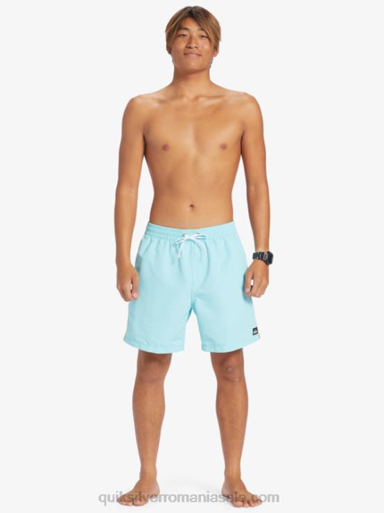 înger albastru plajă vă rog 17 volei XT6B279 bărbați Quiksilver