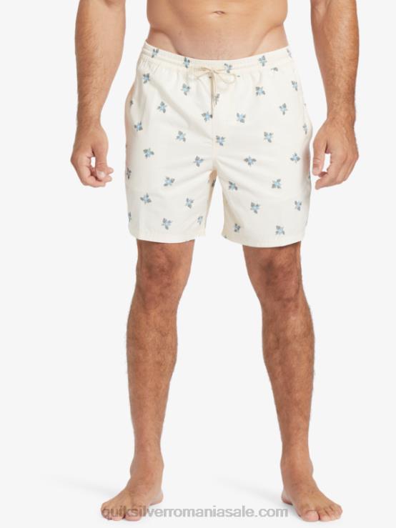 pedale mici albe antice v waterman pedale mici 17 volei XT6B397 bărbați Quiksilver