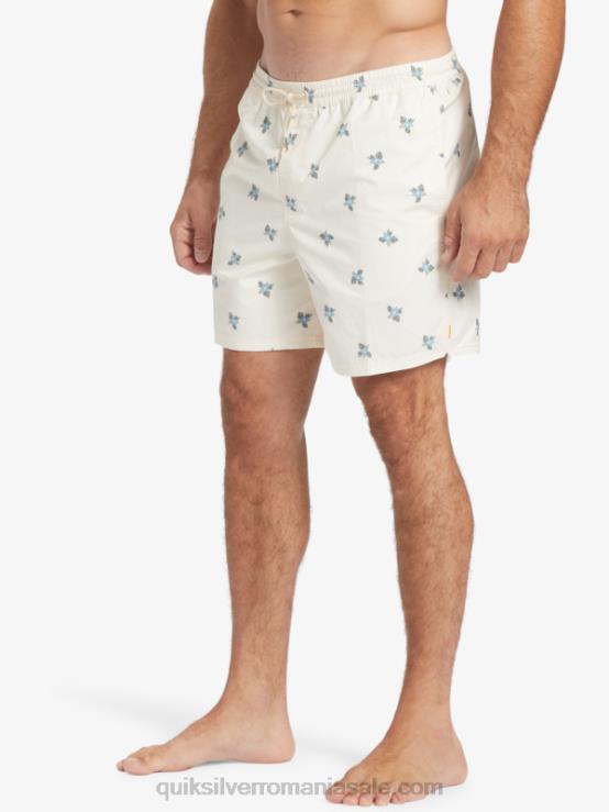pedale mici albe antice v waterman pedale mici 17 volei XT6B397 bărbați Quiksilver