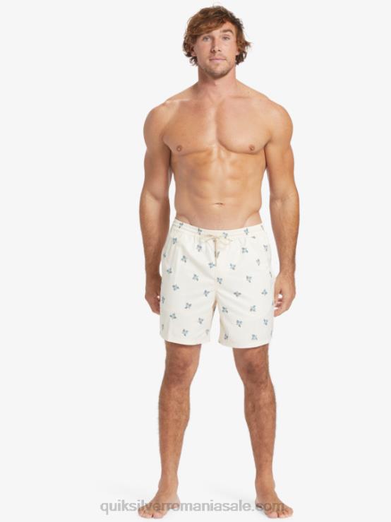 pedale mici albe antice v waterman pedale mici 17 volei XT6B397 bărbați Quiksilver