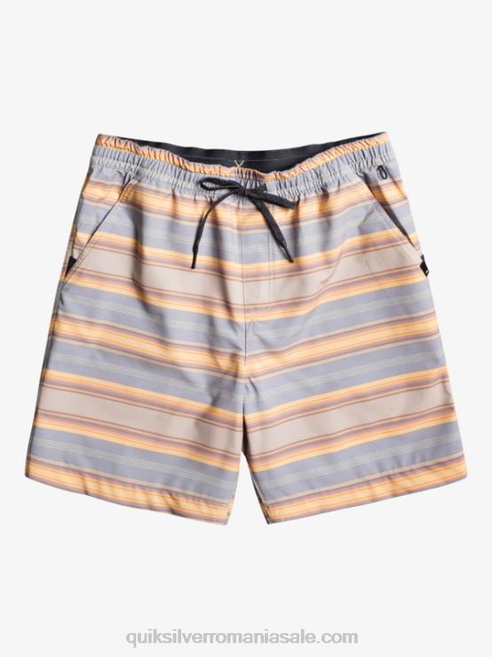 plaza taupe surf days stripe taxer print 18 amfibieni boardshorts XT6B104 bărbați Quiksilver