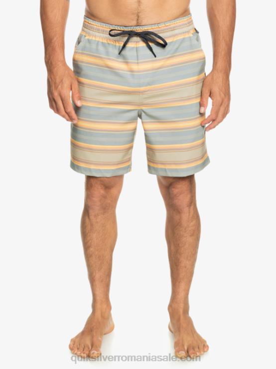 plaza taupe surf days stripe taxer print 18 amfibieni boardshorts XT6B104 bărbați Quiksilver