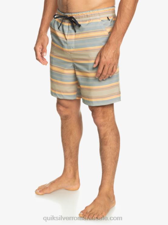 plaza taupe surf days stripe taxer print 18 amfibieni boardshorts XT6B104 bărbați Quiksilver