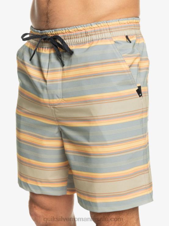 plaza taupe surf days stripe taxer print 18 amfibieni boardshorts XT6B104 bărbați Quiksilver