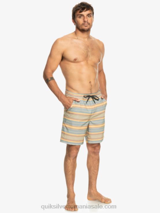 plaza taupe surf days stripe taxer print 18 amfibieni boardshorts XT6B104 bărbați Quiksilver