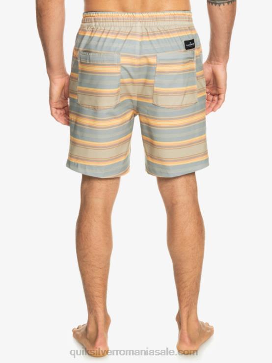 plaza taupe surf days stripe taxer print 18 amfibieni boardshorts XT6B104 bărbați Quiksilver