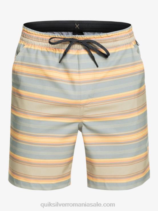 plaza taupe surf days stripe taxer print 18 amfibieni boardshorts XT6B104 bărbați Quiksilver