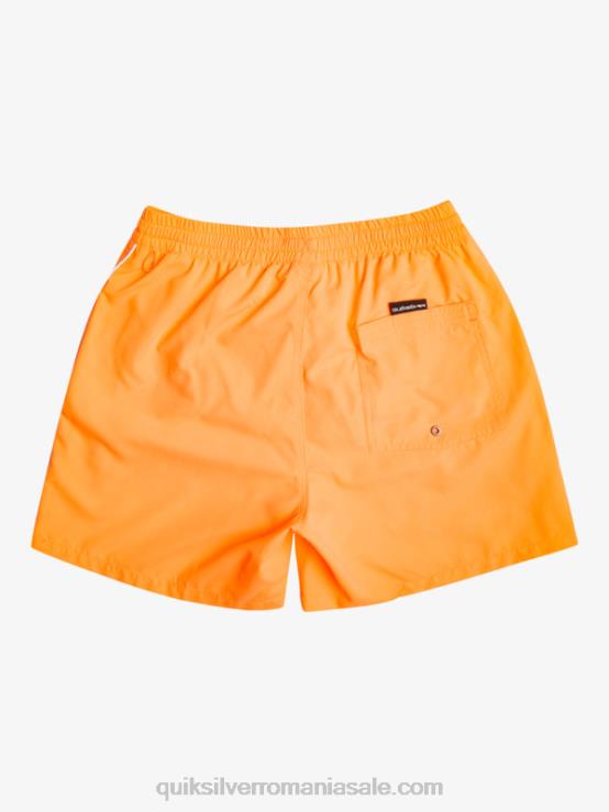 pop portocaliu zilnic vert 16 volei XT6B697 bărbați Quiksilver