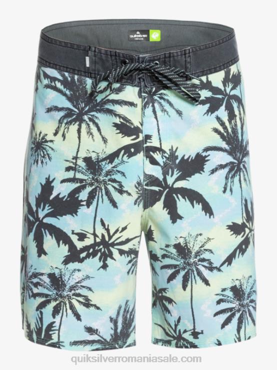 ranuncul surfsilk spălat 18 boardshorts XT6B1757 bărbați Quiksilver