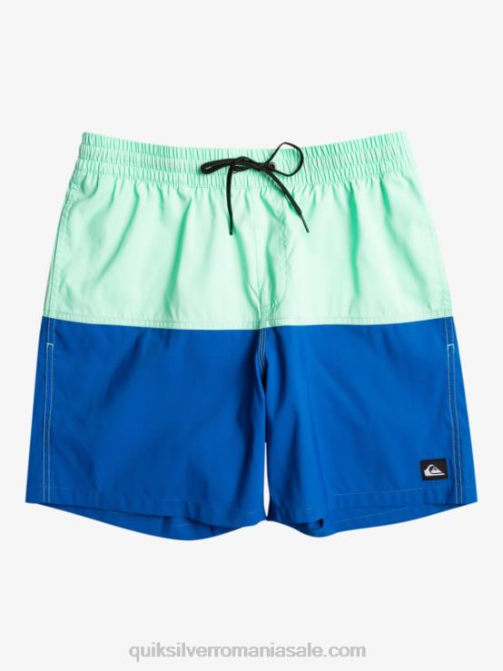 snorkel albastru butt logo 17 salve XT6B485 bărbați Quiksilver