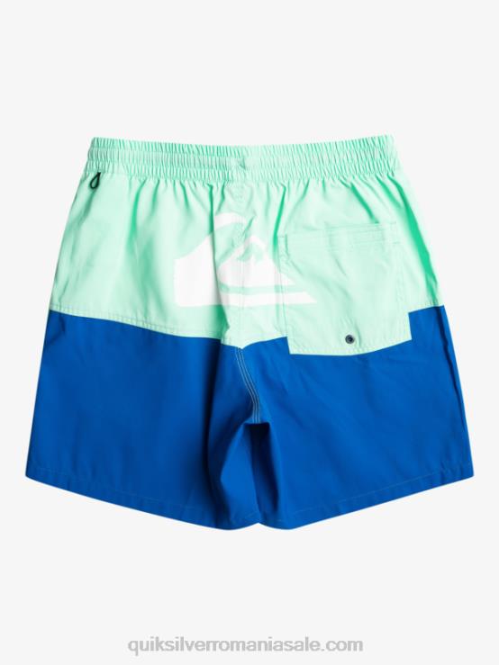 snorkel albastru butt logo 17 salve XT6B485 bărbați Quiksilver