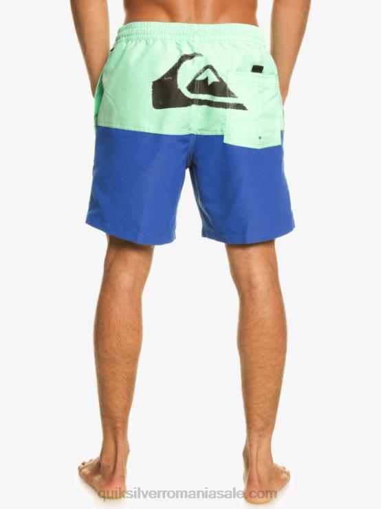 snorkel albastru butt logo 17 salve XT6B485 bărbați Quiksilver