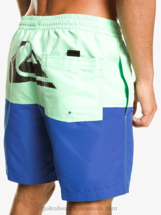 snorkel albastru butt logo 17 salve XT6B485 bărbați Quiksilver