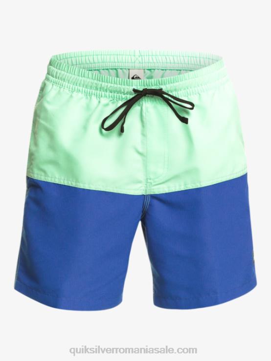 snorkel albastru butt logo 17 salve XT6B485 bărbați Quiksilver