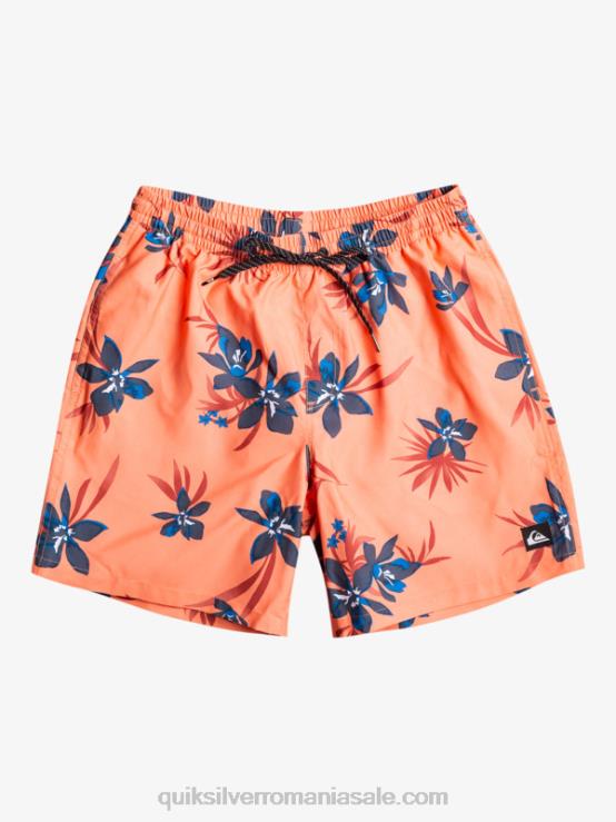 somon proaspăt se amestecă zilnic 17 salve XT6B1209 bărbați Quiksilver