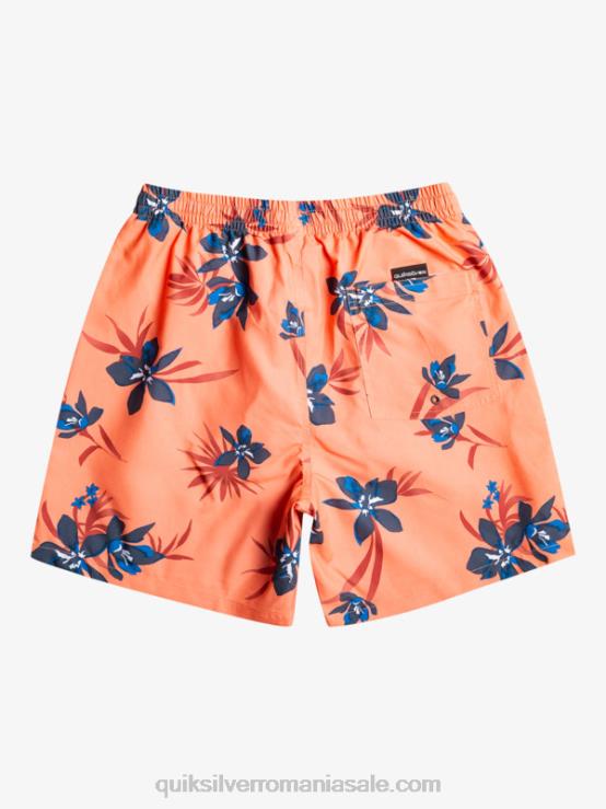 somon proaspăt se amestecă zilnic 17 salve XT6B1209 bărbați Quiksilver