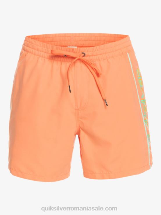 somon proaspăt zilnic vert 16 volei XT6B703 bărbați Quiksilver