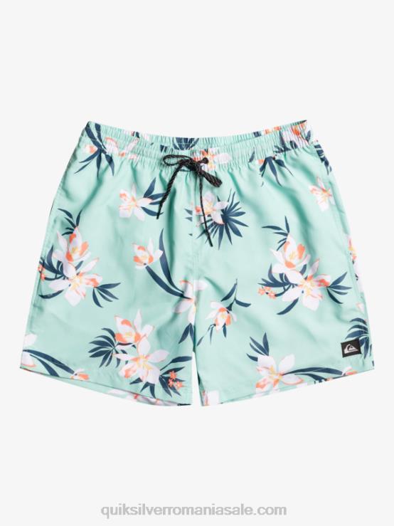 sticla de plaja se amestecă zilnic 17 salve XT6B1211 bărbați Quiksilver
