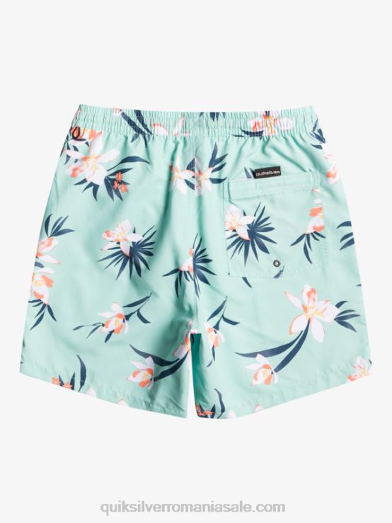 sticla de plaja se amestecă zilnic 17 salve XT6B1211 bărbați Quiksilver