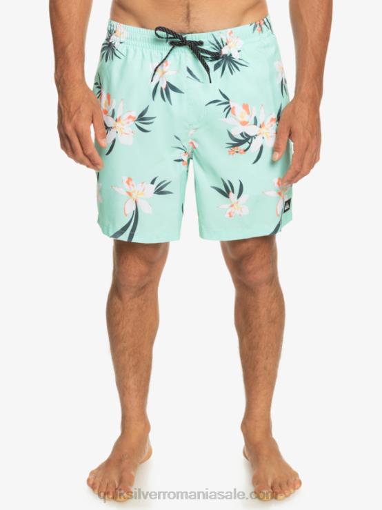 sticla de plaja se amestecă zilnic 17 salve XT6B1211 bărbați Quiksilver