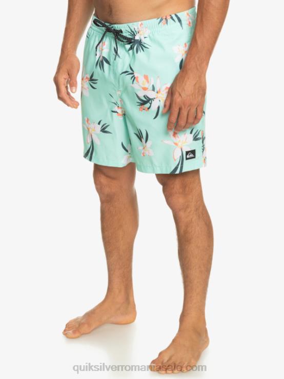 sticla de plaja se amestecă zilnic 17 salve XT6B1211 bărbați Quiksilver