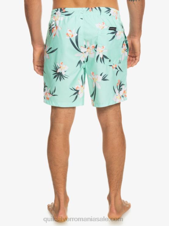 sticla de plaja se amestecă zilnic 17 salve XT6B1211 bărbați Quiksilver