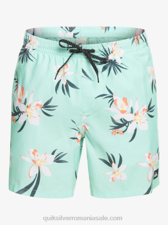 sticla de plaja se amestecă zilnic 17 salve XT6B1211 bărbați Quiksilver