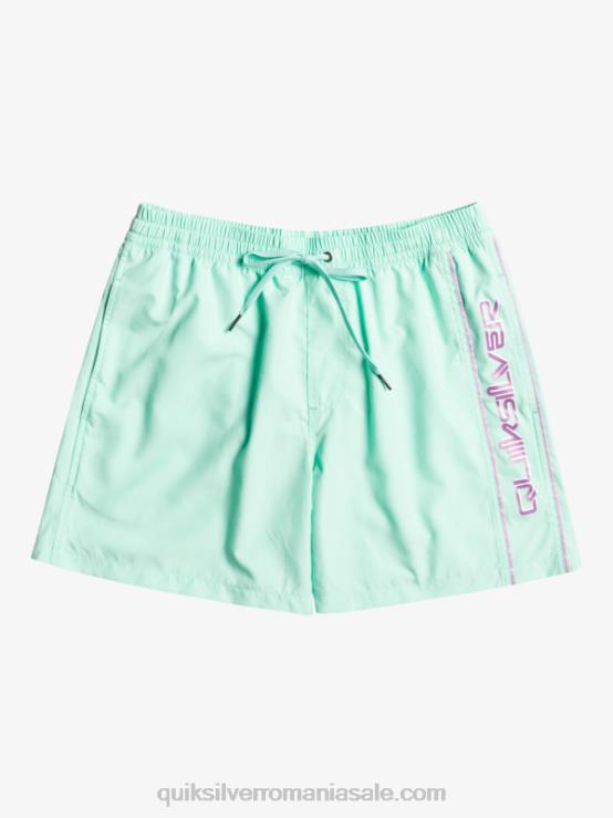 sticla de plaja zilnic vert 16 volei XT6B702 bărbați Quiksilver