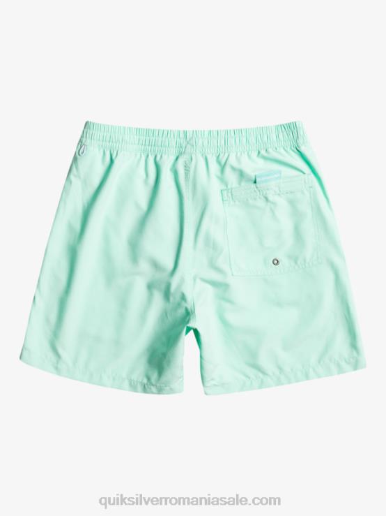sticla de plaja zilnic vert 16 volei XT6B702 bărbați Quiksilver