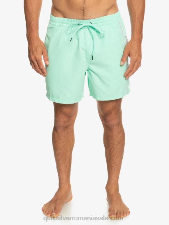 sticla de plaja zilnic vert 16 volei XT6B702 bărbați Quiksilver