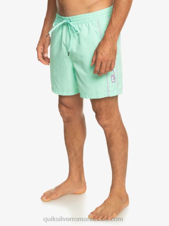 sticla de plaja zilnic vert 16 volei XT6B702 bărbați Quiksilver