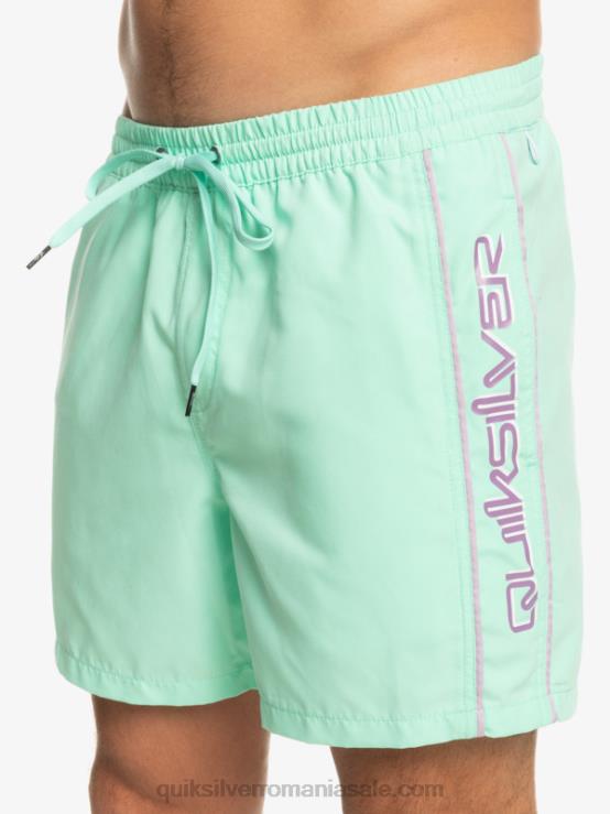 sticla de plaja zilnic vert 16 volei XT6B702 bărbați Quiksilver