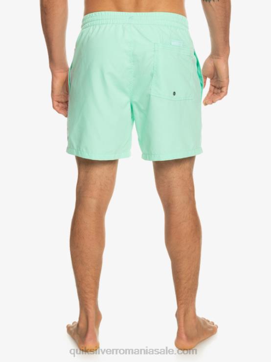 sticla de plaja zilnic vert 16 volei XT6B702 bărbați Quiksilver