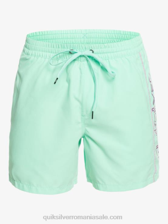 sticla de plaja zilnic vert 16 volei XT6B702 bărbați Quiksilver