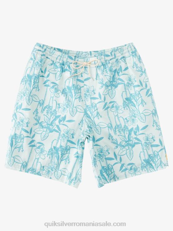 subtil verde looseways vy waterman loose ways 17 salve XT6B939 bărbați Quiksilver